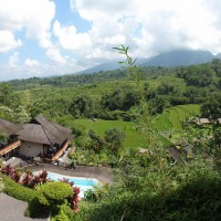 Foto: Una "casita de campo" con vista a los arrozales - Baturiti