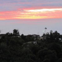 Foto: la quinta - El corazon
