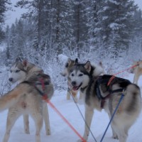Foto de Salla