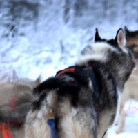 Foto de Salla