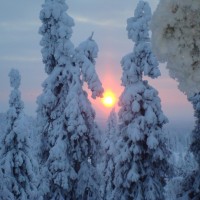 Foto de Salla