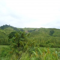 Foto: Paisaje - Atacames