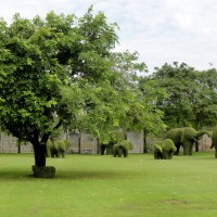 Foto: Jardines palacio real de Bang Pa-in - Phra Nakhon Si Ayutthaya