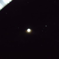 Foto: Luna - Shell