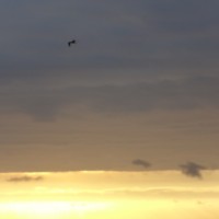 Foto: Crepúsculo - Crucita