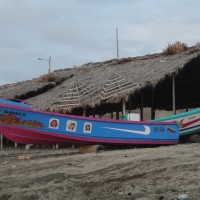 Foto: Panga - Crucita