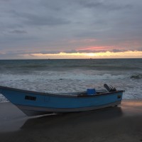 Foto: Panga en la palya - Crucita