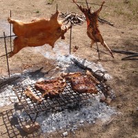 Foto: Chancho A La Cruz - Yacuiba