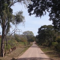 Foto: Camino Del Chaco - Yacuiba