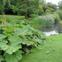 Foto: Jardines de Hyde Park - Londres