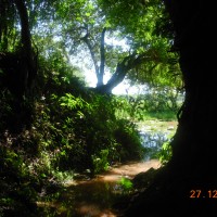 Foto: YCUA PORA - San Pedro Del Parana