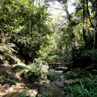 Foto: PAISAJE EN SAN RAMON CHANCHAMAYO. - Chanchamayo