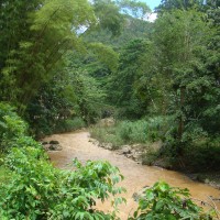 Foto de Utuado