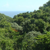 Foto de Utuado