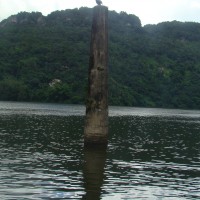 Foto de Utuado