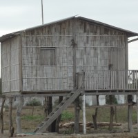 Foto: Casa de caña - Crucita