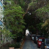 Foto de San Juan