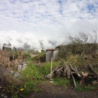 Foto: Manzanas - Bayushig