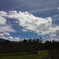 Foto: Paisaje - Bayushig