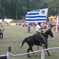 Foto: vuelta de honor - Montevideo