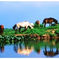 Foto de Porto Murtinho