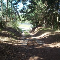 Foto: caminito - Montevideo