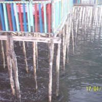 Foto de Choluteca