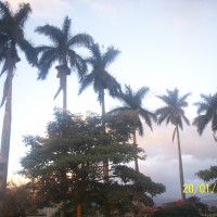 Foto de Alajuela