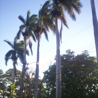 Foto de Alajuela