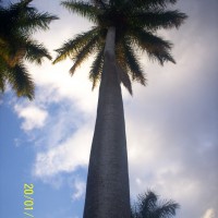 Foto de Alajuela