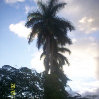 Foto de Alajuela
