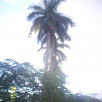 Foto de Alajuela