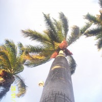 Foto de Alajuela