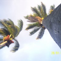Foto de Alajuela
