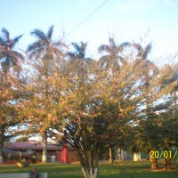 Foto de Alajuela