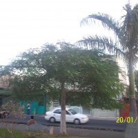 Foto de Alajuela