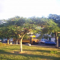 Foto de Alajuela