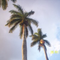 Foto de Alajuela