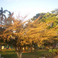 Foto de Alajuela