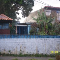 Foto de San Martin