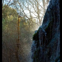 Foto de Zaragoza (Monasterio de Piedra)