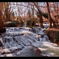 Foto de Zaragoza (Monasterio de Piedra)