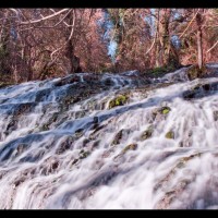 Foto de Zaragoza (Monasterio de Piedra)
