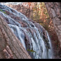 Foto de Zaragoza (Monasterio de Piedra)
