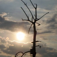 Foto de Tapachula