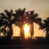 Foto de Tapachula