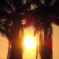Foto de Tapachula
