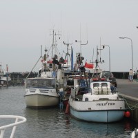 Foto de Skagen