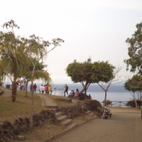 Foto: CATARINA - Catarina