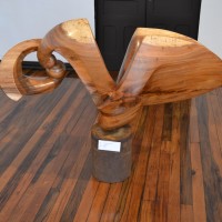 Foto: GALERIA - Alajuela